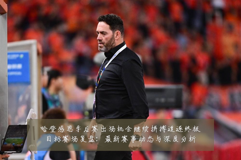 哈登感恩季后赛出场机会继续拼搏追逐终极目标赛场复盘：最新赛事动态与深度分析